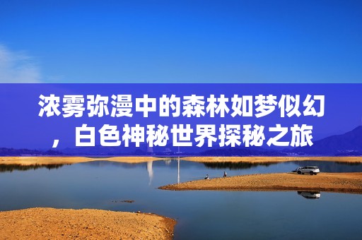 浓雾弥漫中的森林如梦似幻，白色神秘世界探秘之旅