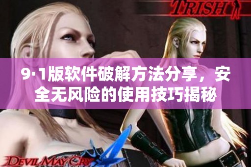 9·1版软件破解方法分享，安全无风险的使用技巧揭秘