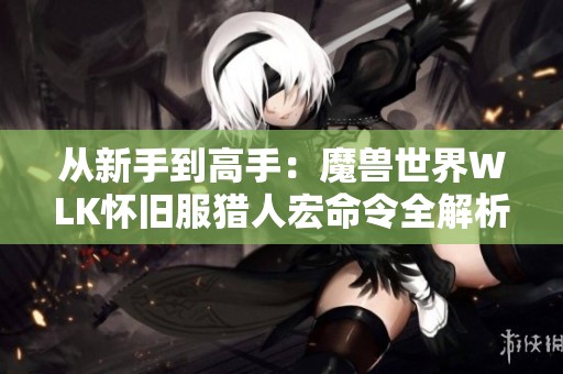 从新手到高手：魔兽世界WLK怀旧服猎人宏命令全解析与进阶技巧