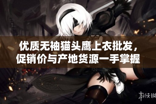 优质无袖猫头鹰上衣批发，促销价与产地货源一手掌握