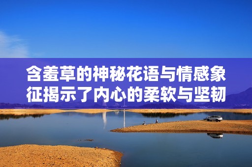 含羞草的神秘花语与情感象征揭示了内心的柔软与坚韧