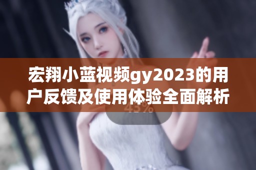 宏翔小蓝视频gy2023的用户反馈及使用体验全面解析