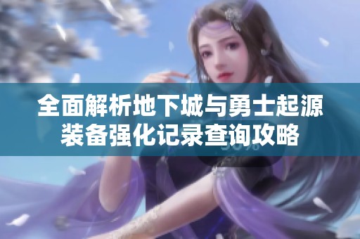 全面解析地下城与勇士起源装备强化记录查询攻略