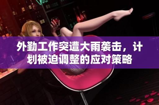 外勤工作突遭大雨袭击，计划被迫调整的应对策略