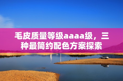 毛皮质量等级aaaa级，三种最简约配色方案探索