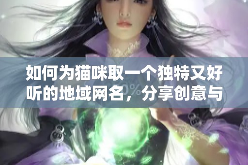 如何为猫咪取一个独特又好听的地域网名，分享创意与灵感