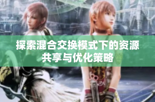 探索混合交换模式下的资源共享与优化策略