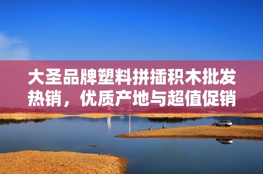 大圣品牌塑料拼插积木批发热销，优质产地与超值促销价格等你来选