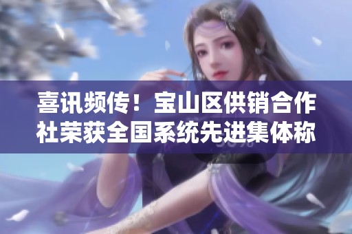 喜讯频传！宝山区供销合作社荣获全国系统先进集体称号的喜悦时刻