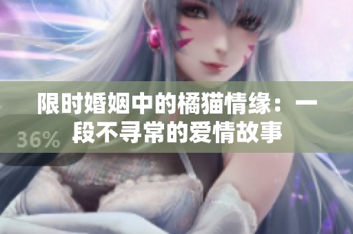限时婚姻中的橘猫情缘：一段不寻常的爱情故事