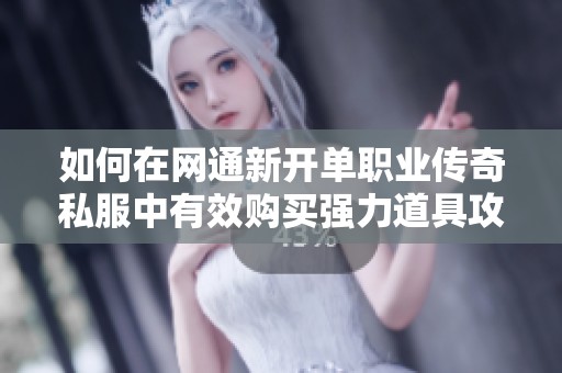 如何在网通新开单职业传奇私服中有效购买强力道具攻略