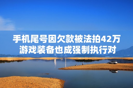 手机尾号因欠款被法拍42万 游戏装备也成强制执行对象吗