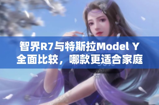 智界R7与特斯拉Model Y全面比较，哪款更适合家庭日常使用？