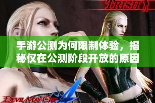 手游公测为何限制体验，揭秘仅在公测阶段开放的原因和影响