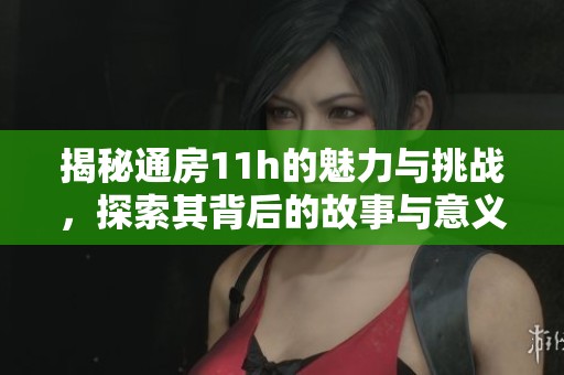 揭秘通房11h的魅力与挑战，探索其背后的故事与意义