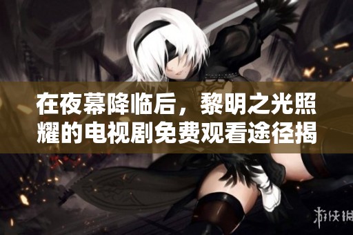 在夜幕降临后，黎明之光照耀的电视剧免费观看途径揭秘