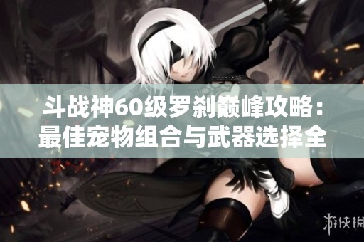 斗战神60级罗刹巅峰攻略：最佳宠物组合与武器选择全解析