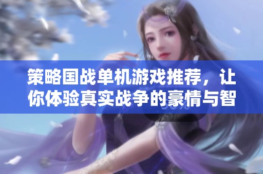 策略国战单机游戏推荐，让你体验真实战争的豪情与智慧