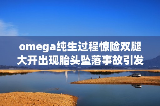 omega纯生过程惊险双腿大开出现胎头坠落事故引发关注