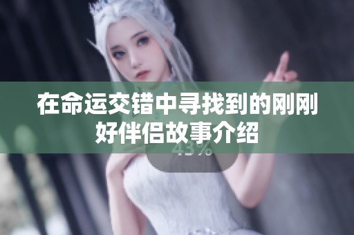 在命运交错中寻找到的刚刚好伴侣故事介绍