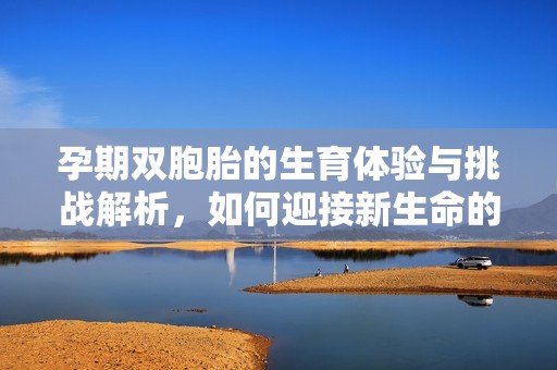 孕期双胞胎的生育体验与挑战解析，如何迎接新生命的到来