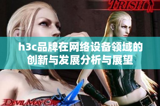 h3c品牌在网络设备领域的创新与发展分析与展望