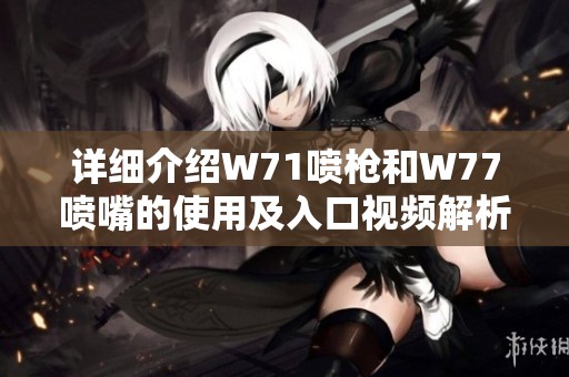 详细介绍W71喷枪和W77喷嘴的使用及入口视频解析