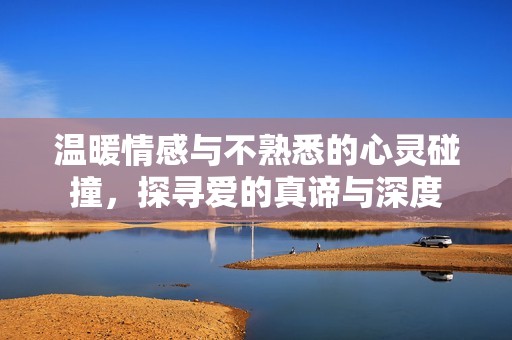 温暖情感与不熟悉的心灵碰撞，探寻爱的真谛与深度