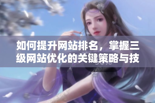 如何提升网站排名，掌握三级网站优化的关键策略与技巧