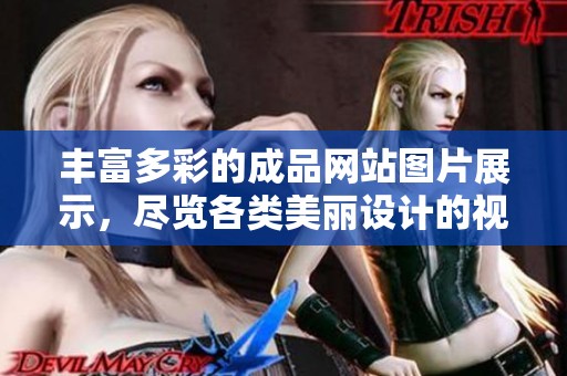 丰富多彩的成品网站图片展示，尽览各类美丽设计的视觉盛宴