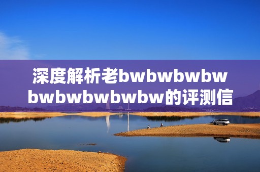 深度解析老bwbwbwbwbwbwbwbwbw的评测信息与使用体验