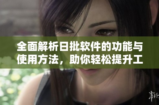 全面解析日批软件的功能与使用方法，助你轻松提升工作效率