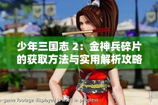 少年三国志 2：金神兵碎片的获取方法与实用解析攻略