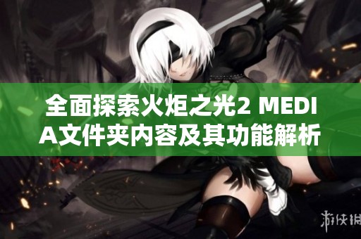 全面探索火炬之光2 MEDIA文件夹内容及其功能解析