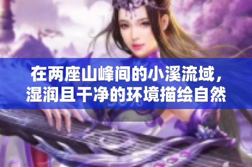 在两座山峰间的小溪流域，湿润且干净的环境描绘自然之美