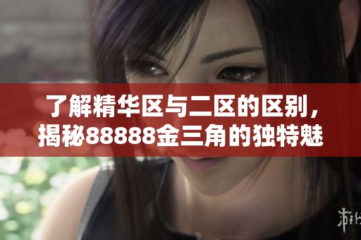 了解精华区与二区的区别，揭秘88888金三角的独特魅力与优势