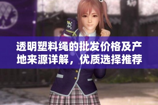 透明塑料绳的批发价格及产地来源详解，优质选择推荐