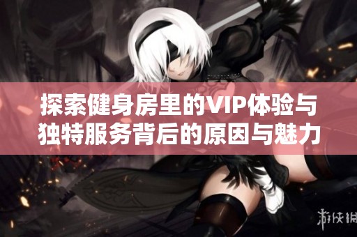 探索健身房里的VIP体验与独特服务背后的原因与魅力