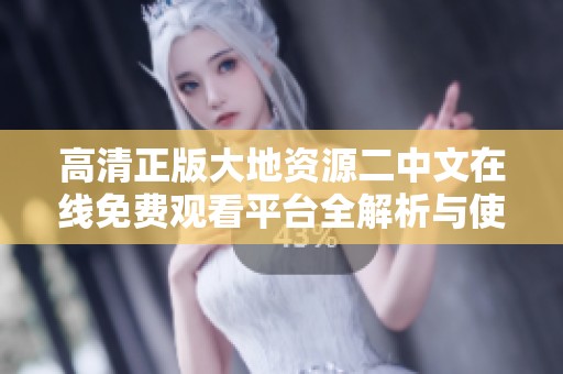 高清正版大地资源二中文在线免费观看平台全解析与使用指南