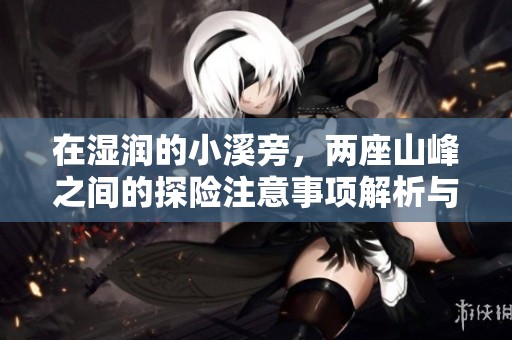 在湿润的小溪旁，两座山峰之间的探险注意事项解析与建议