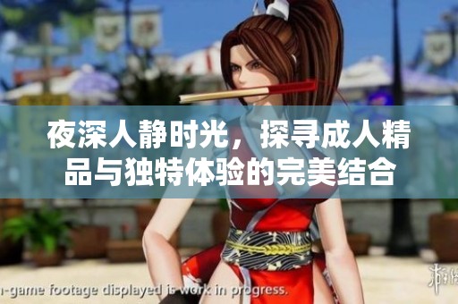 夜深人静时光，探寻成人精品与独特体验的完美结合